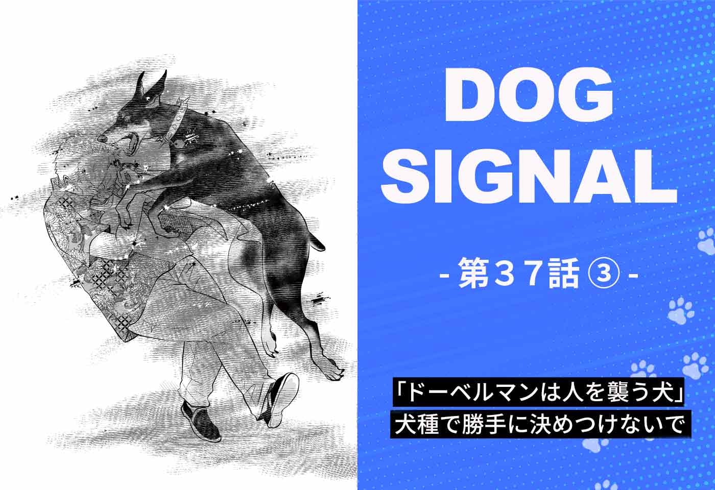 『DOG SIGNAL（ドッグシグナル）』37話目3/4　犬種で性格を決めつけないで