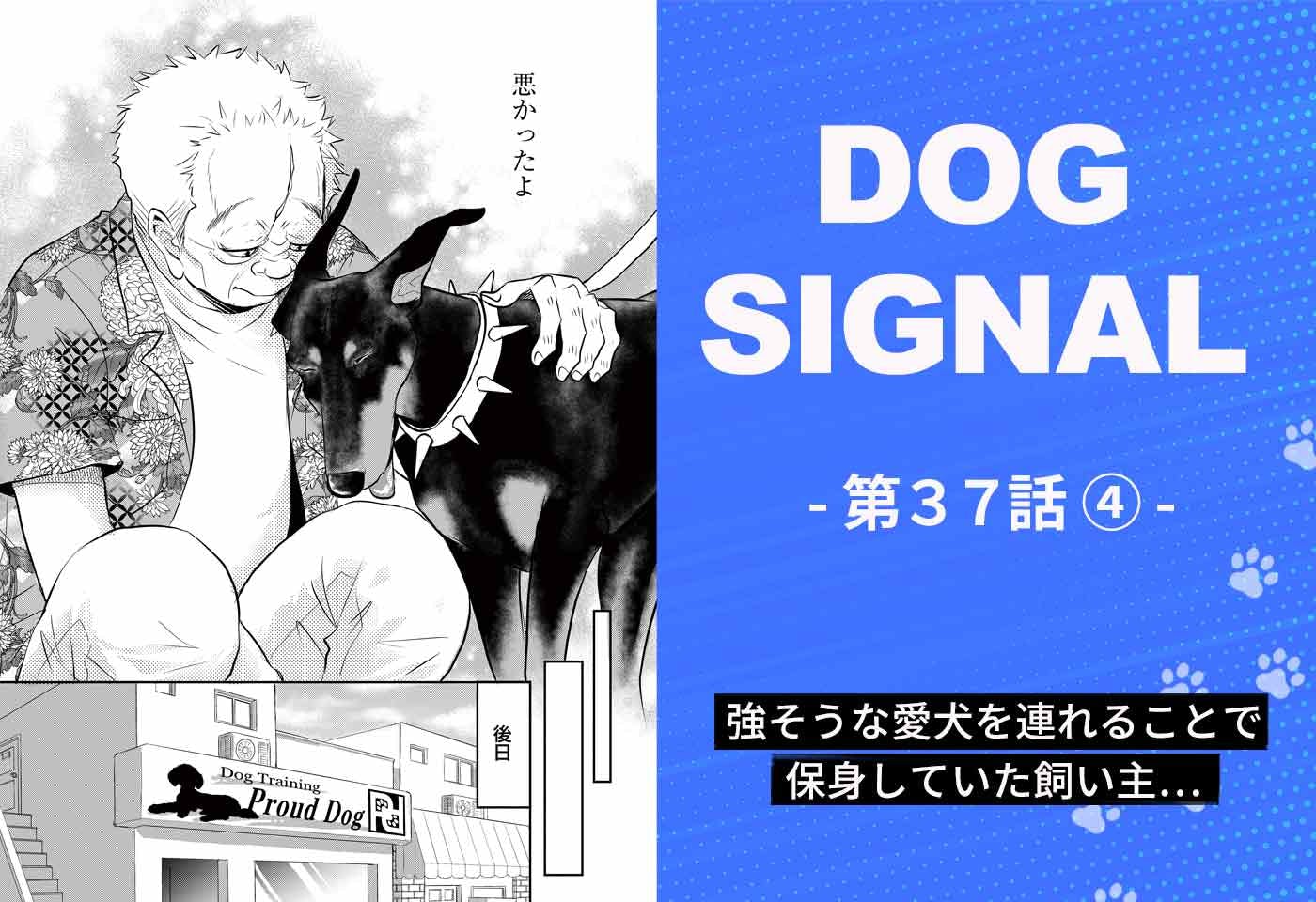 『DOG SIGNAL（ドッグシグナル）』37話目4/4　好んで闘いたい犬はいない