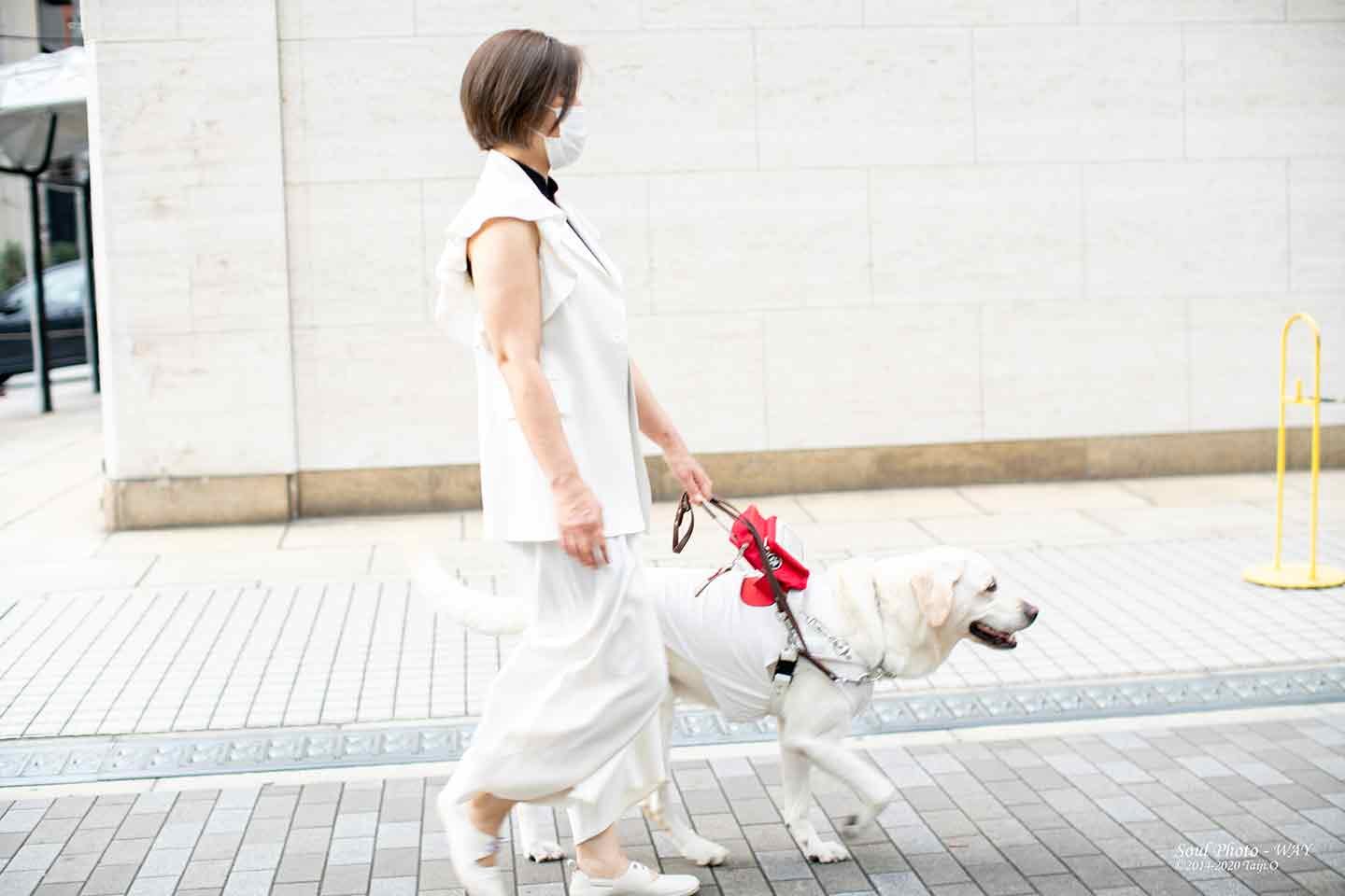 junkoasai_interview_05-min 盲導犬・ヴィヴィッドを信じて歩く浅井純子さん