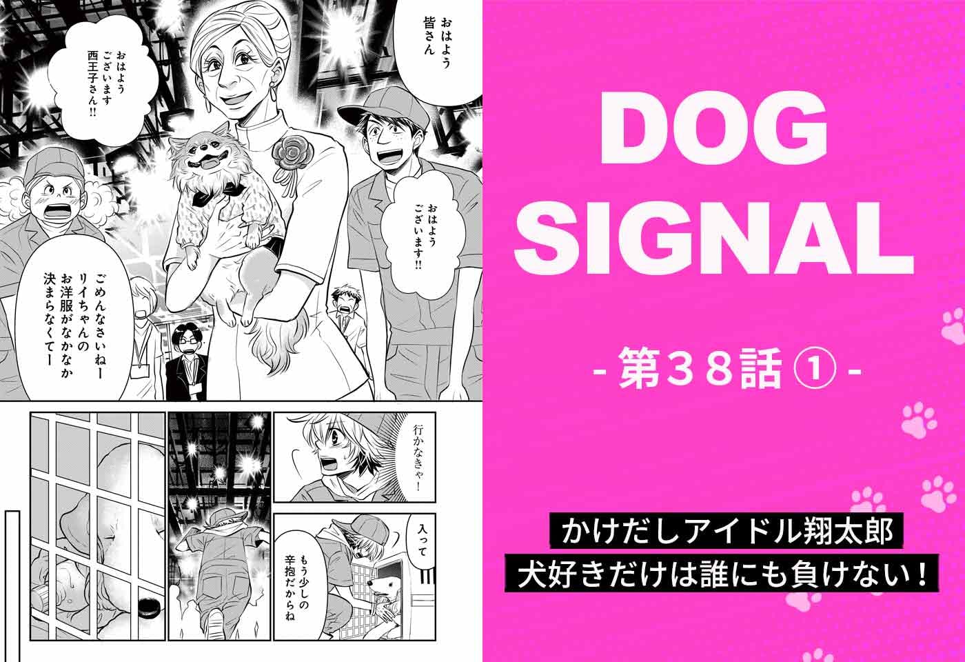 『DOG SIGNAL（ドッグシグナル）』38話目1/4　犬好きアイドルがペット番組のレギュラーに！