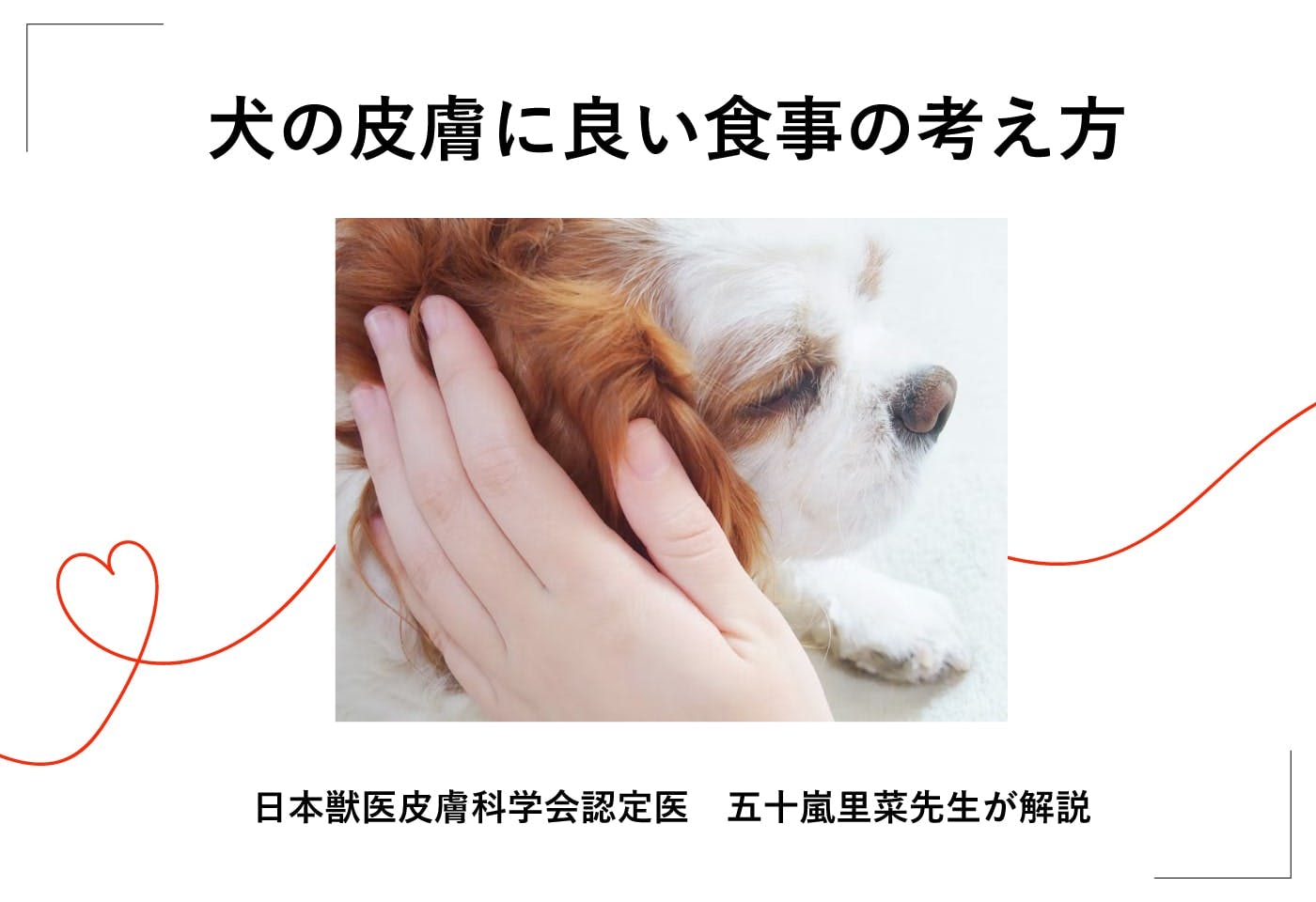 犬の皮膚にいい食事とは？おすすめの食材やアレルギーがある場合のドッグフードの選び方を獣医師が解説