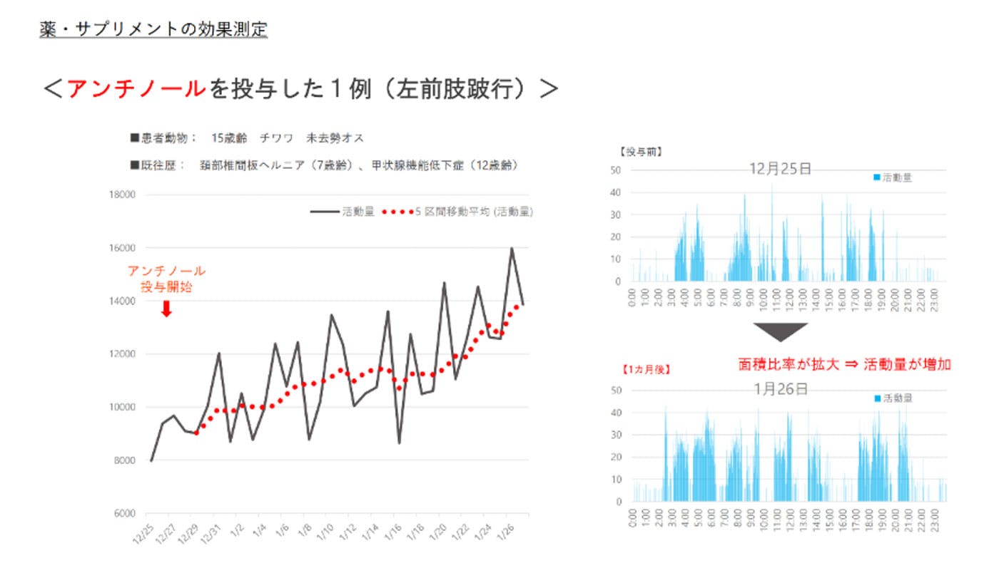 アンチノールを投与して、活動量が増えていったグラフ