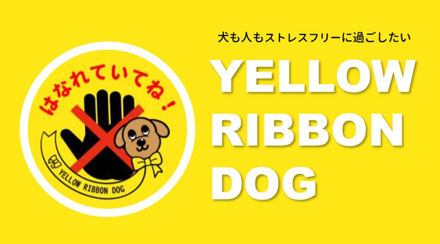 木崎さんが立ち上げたプロジェクト『Yellow Ribbon Dog』（イエローリボンドッグ）
