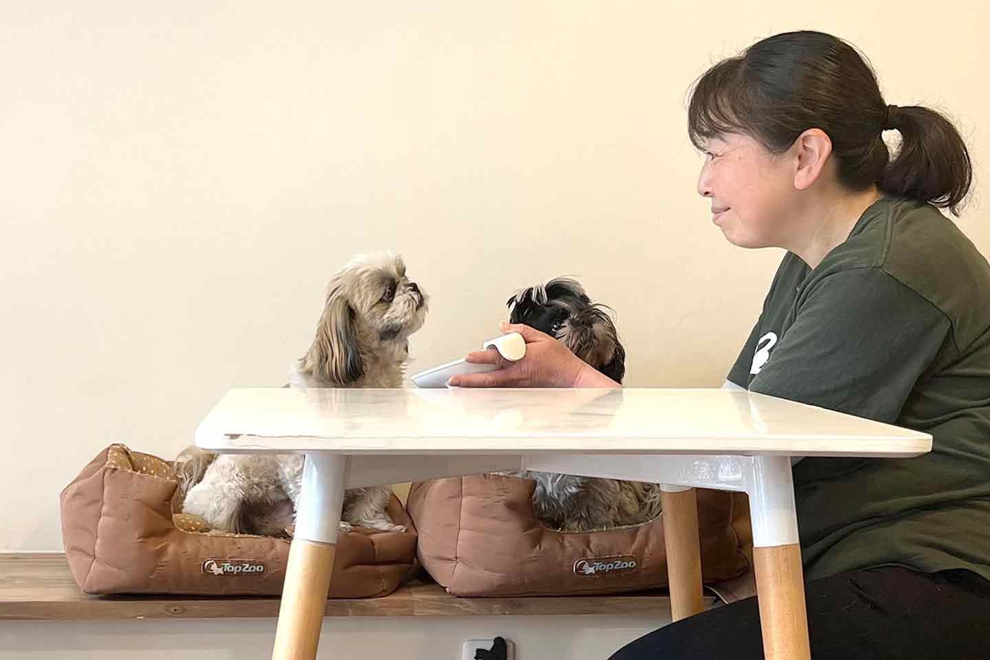 シニア犬と向き合う、『ぐらんわん!』の中村真弓さん シニア犬と向き合う、『ぐらんわん!』の中村真弓さん