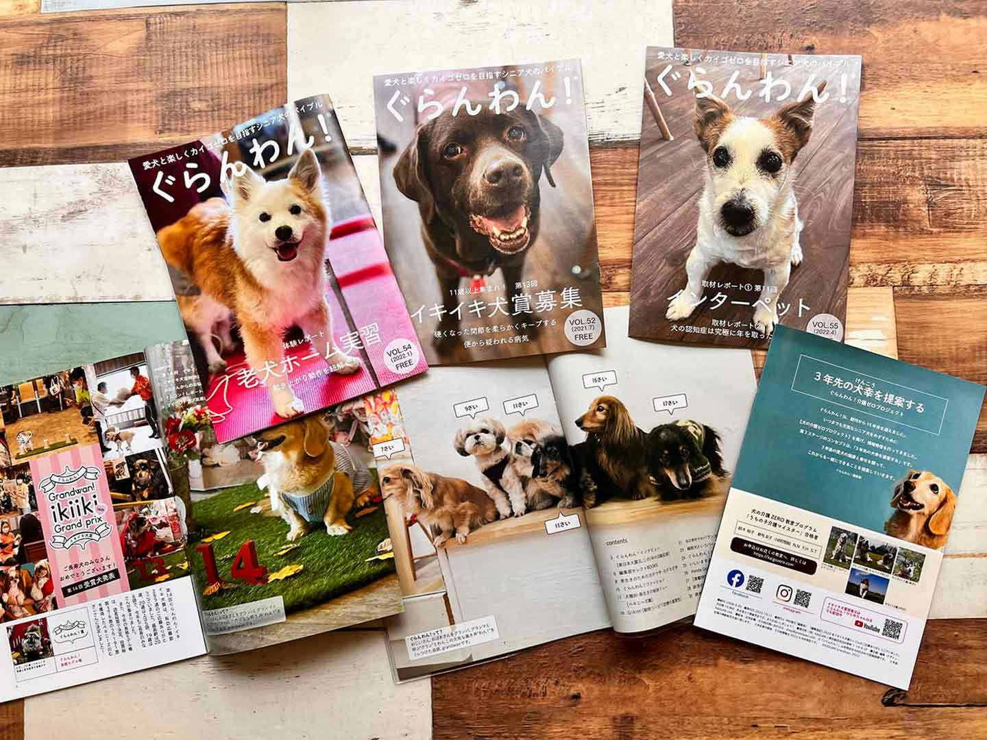 中村真弓さんが発刊した老犬に特化したフリーマガジン『ぐらんわん!』 中村真弓さんが発刊した老犬に特化したフリーマガジン『ぐらんわん!』