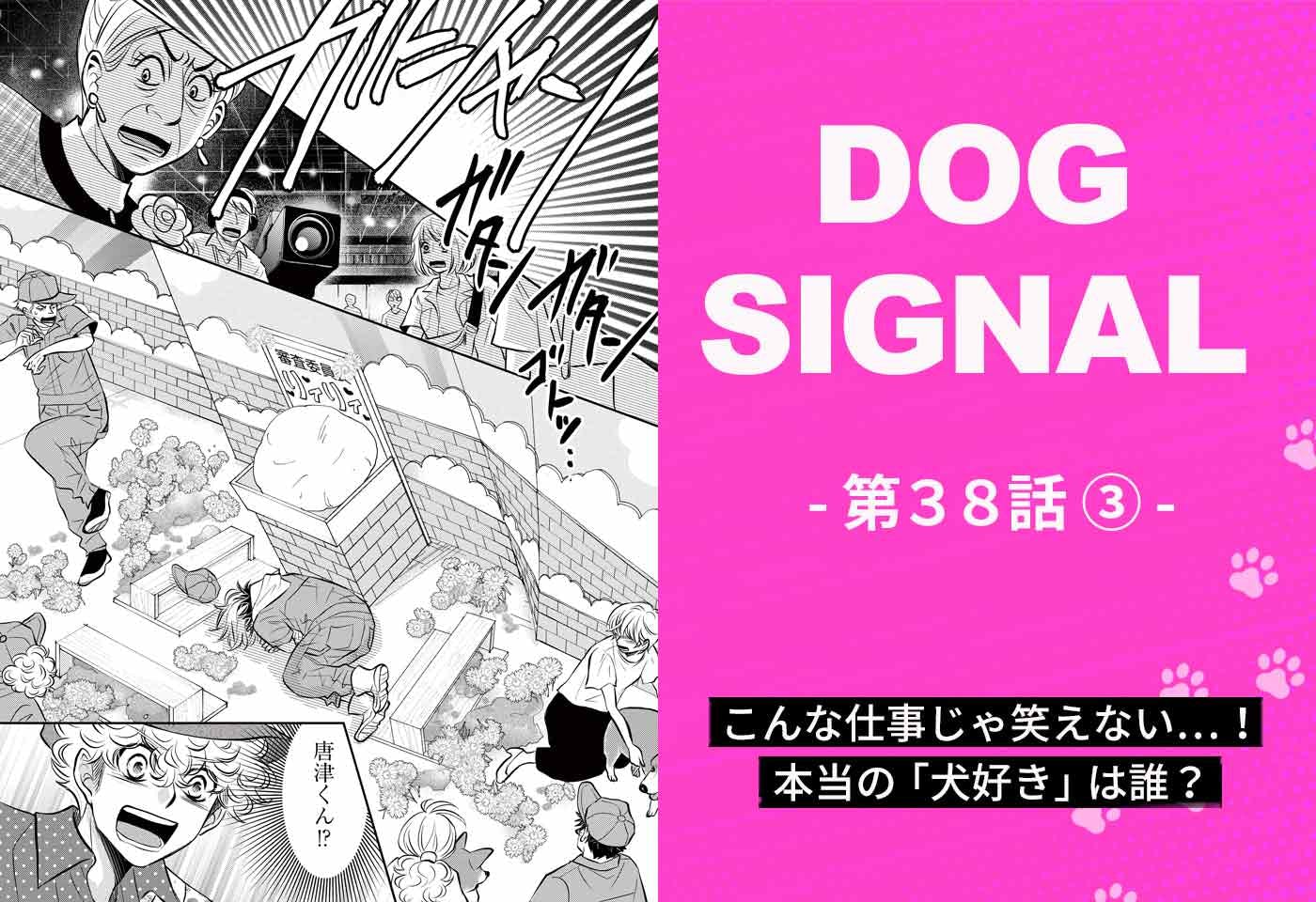 DOG SIGNAL（ドッグシグナル）』38話目2/4 太った犬の方が可愛い 