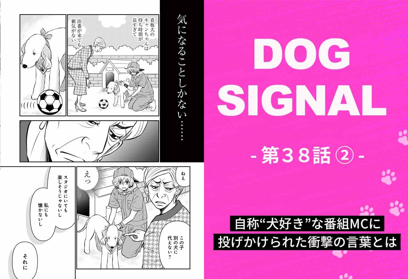 【最新話】『DOG SIGNAL』38話目2/4　太った犬の方が可愛い？