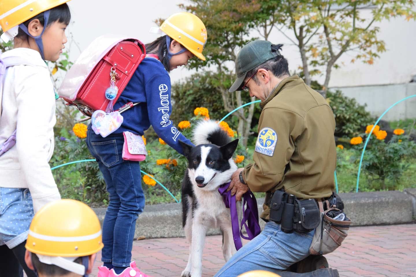 地域の子どもたちにベアドッグの普及啓発をするレラ 地域の子どもたちにベアドッグの普及啓発をするレラ