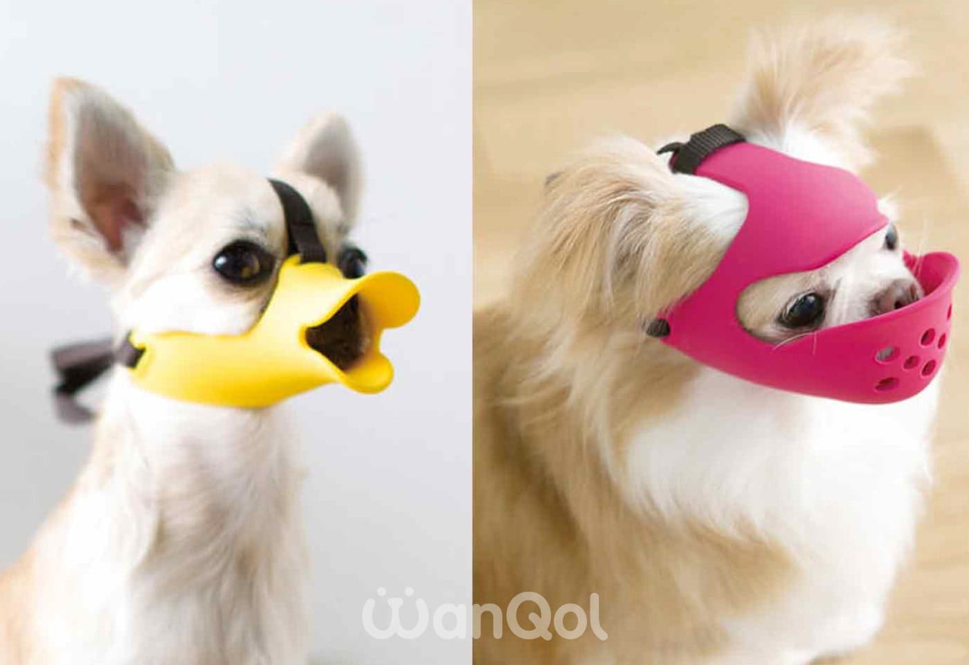 超小型犬用の『quack ss』（左）と『quack closed ss』（右）