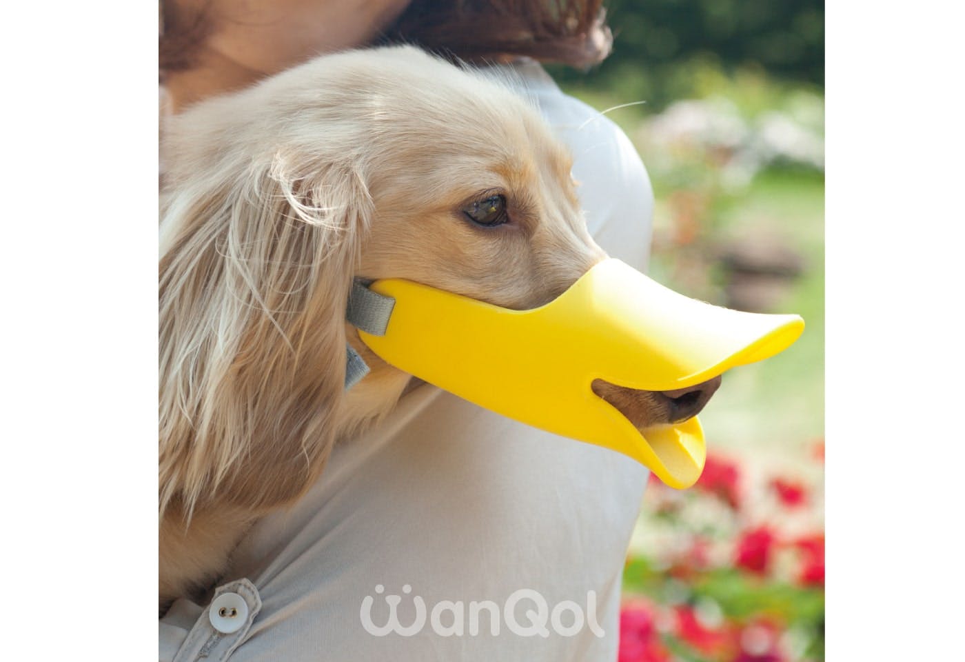 アヒル口デザインの犬用口輪『quack（クアック）』