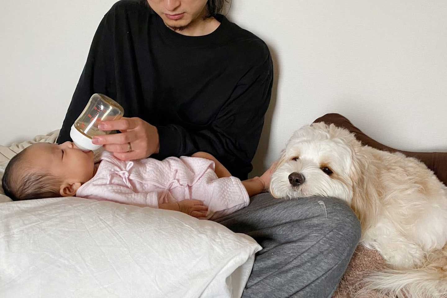 家族が増えても“愛犬第一主義”は不変。愛されあんちゃんと赤ちゃん