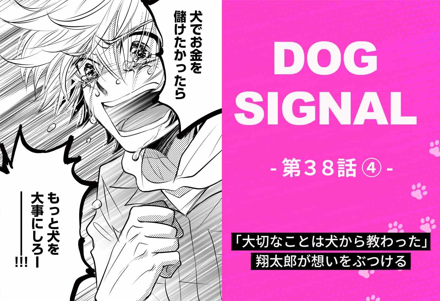 【最新話】『DOG SIGNAL』38話目4/4　犬をむやみに太らせるのは危険！