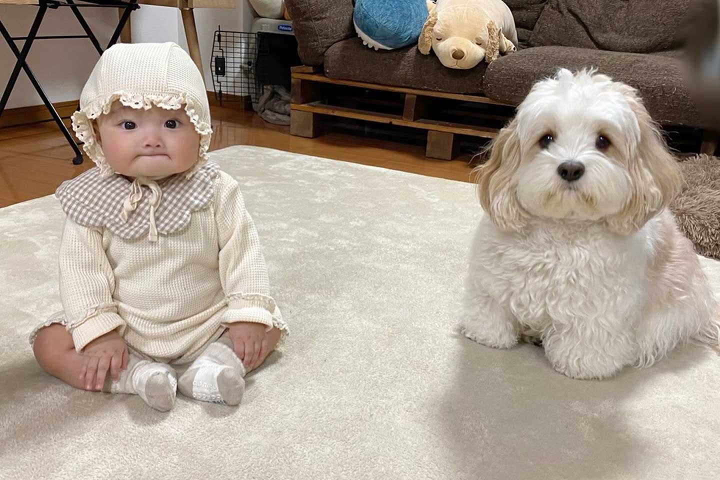 表情が似てきた愛犬あんちゃんと娘さん 表情が似てきた愛犬あんちゃんと娘さん