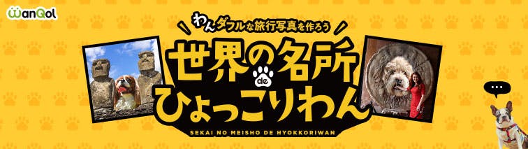 組織学 改訂19版 伊藤 薫 虐殺器官〔新版〕｜田村薫