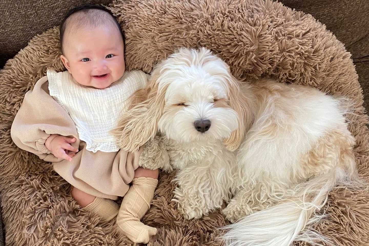 犬の幸せは飼い主次第」SNSで大人気の癒し犬の飼い主・宮原幸恵さんが