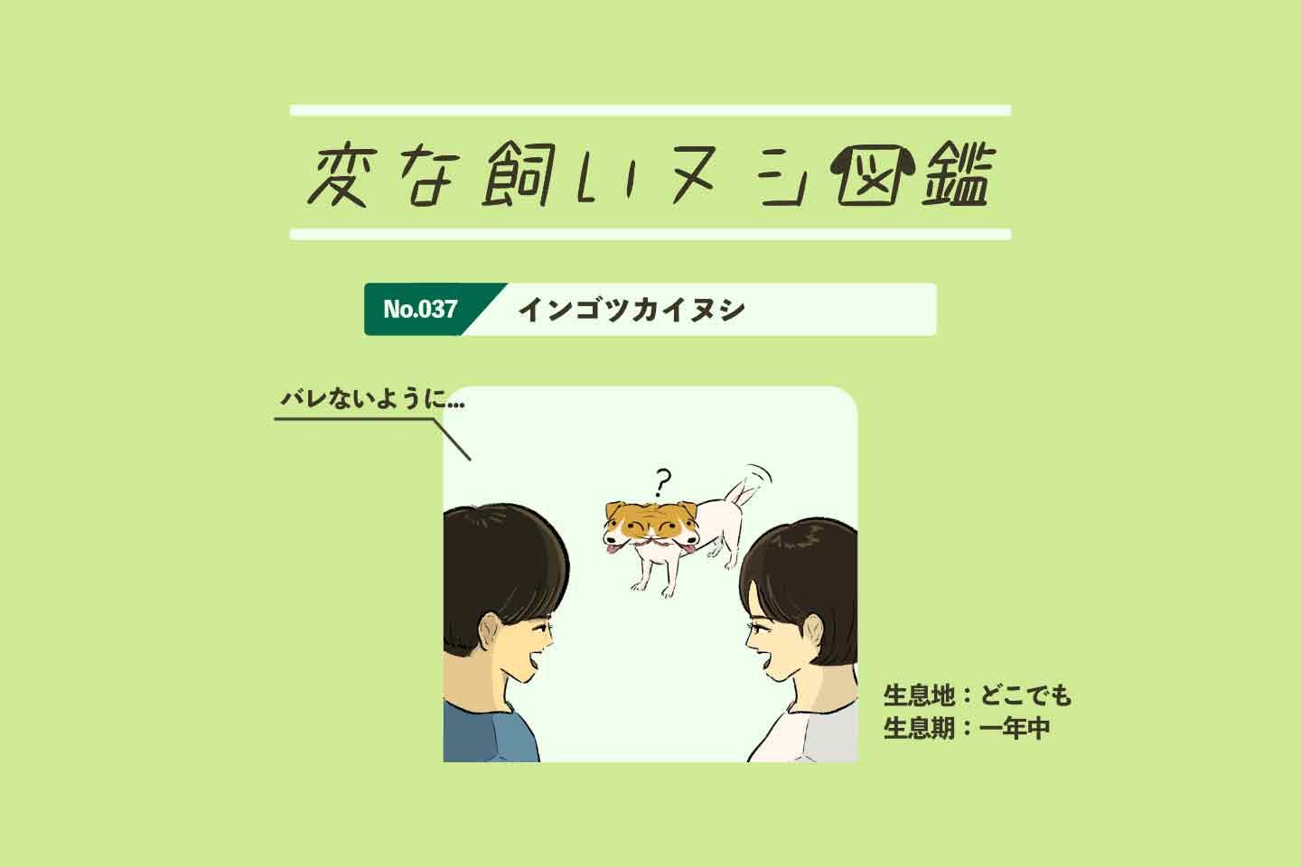 【変な飼いヌシ図鑑No.037】愛犬が反応する『魔法の言葉』を言い換える飼い主『インゴツカイヌシ』