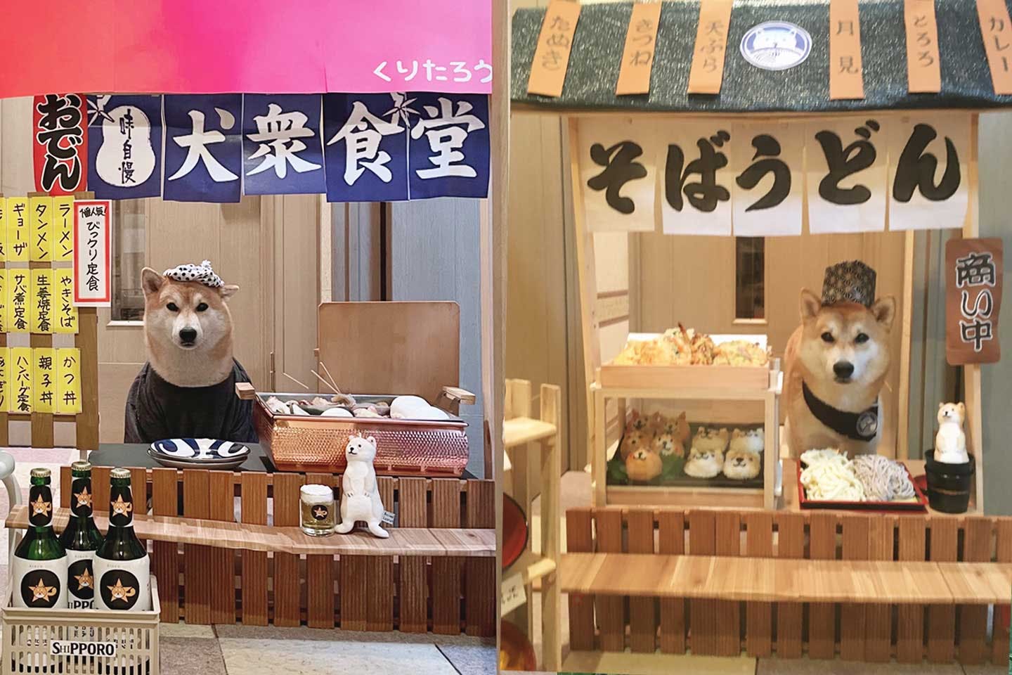 大衆食堂や蕎麦屋の店主にもなる柴犬栗太郎 大衆食堂や蕎麦屋の店主にもなる柴犬栗太郎