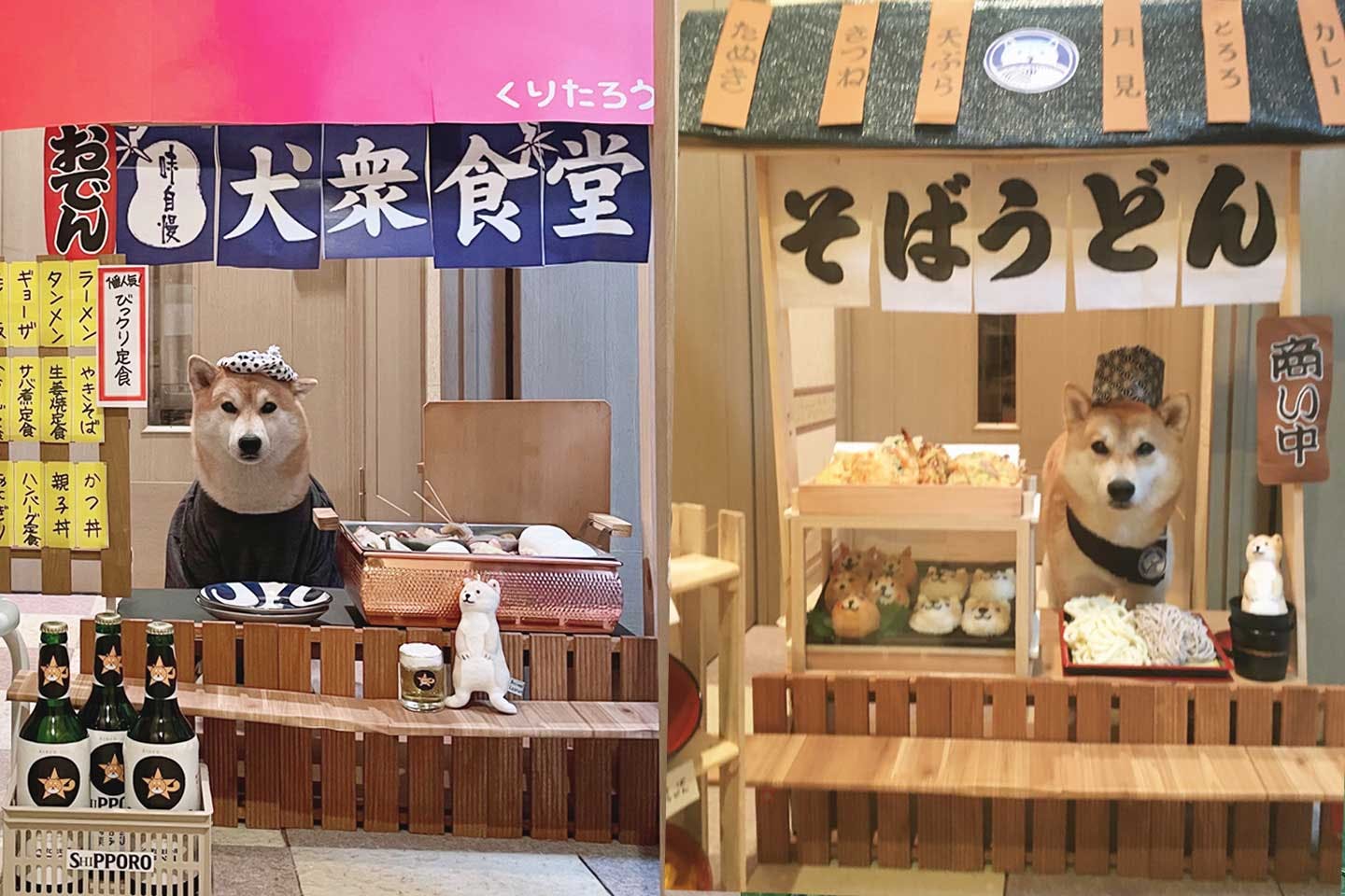 大衆食堂や蕎麦屋の店主にもなる柴犬栗太郎