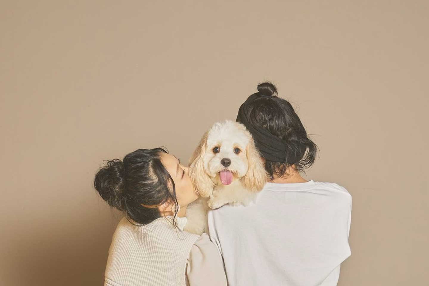 「犬の幸せは飼い主次第」SNSで大人気の癒し犬の飼い主・宮原幸恵さんが明かす　犬を迎え入れるときの覚悟