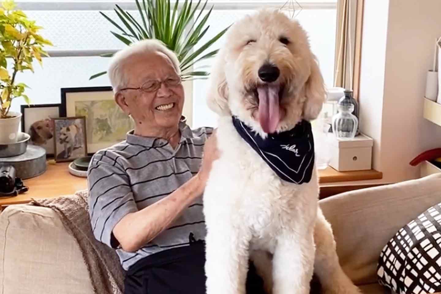 いつも一緒にソファで寛ぐシエルくんとおじいちゃん いつも一緒にソファで寛ぐシエルくんとおじいちゃん