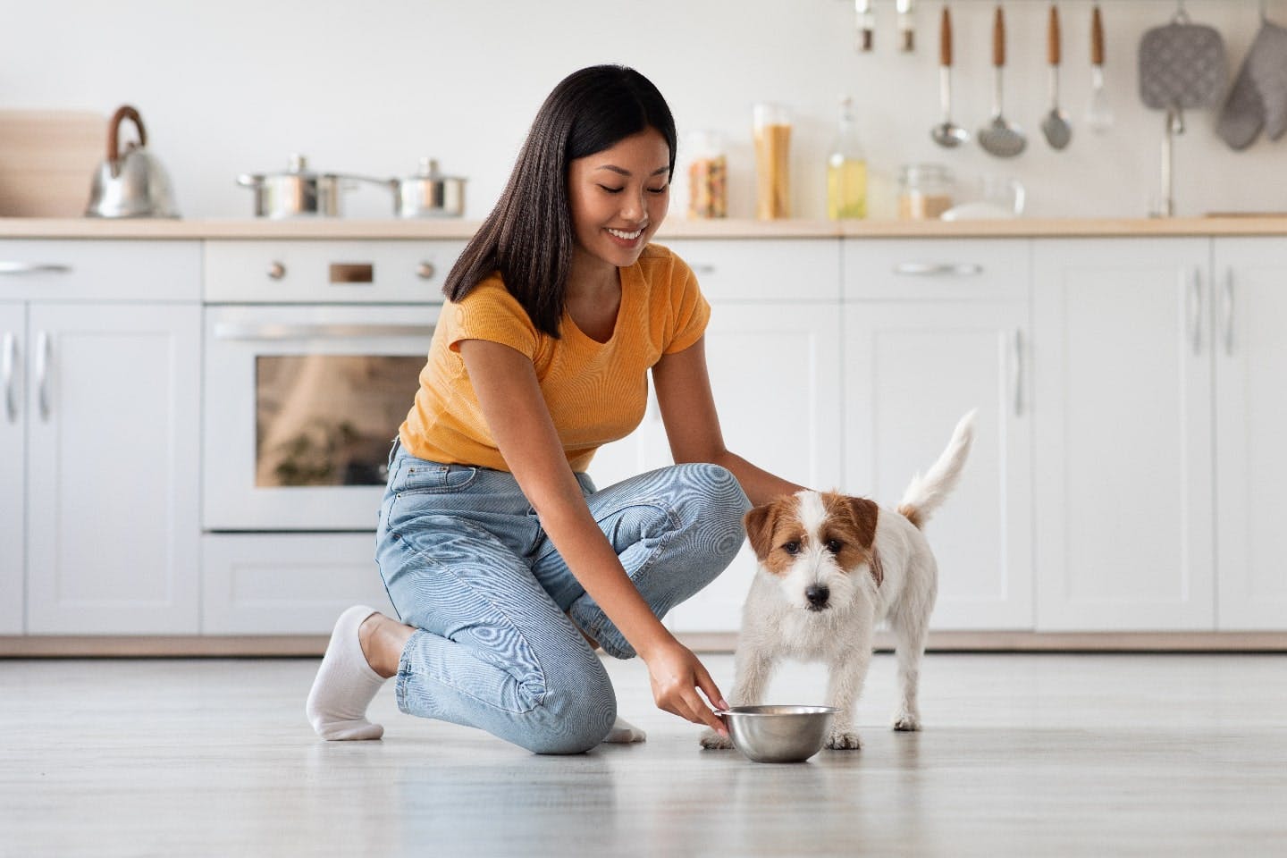 こんにゃくを犬に与える価値はイマイチ。栄養がほとんどなく、消化不良を引き起こす場合も！