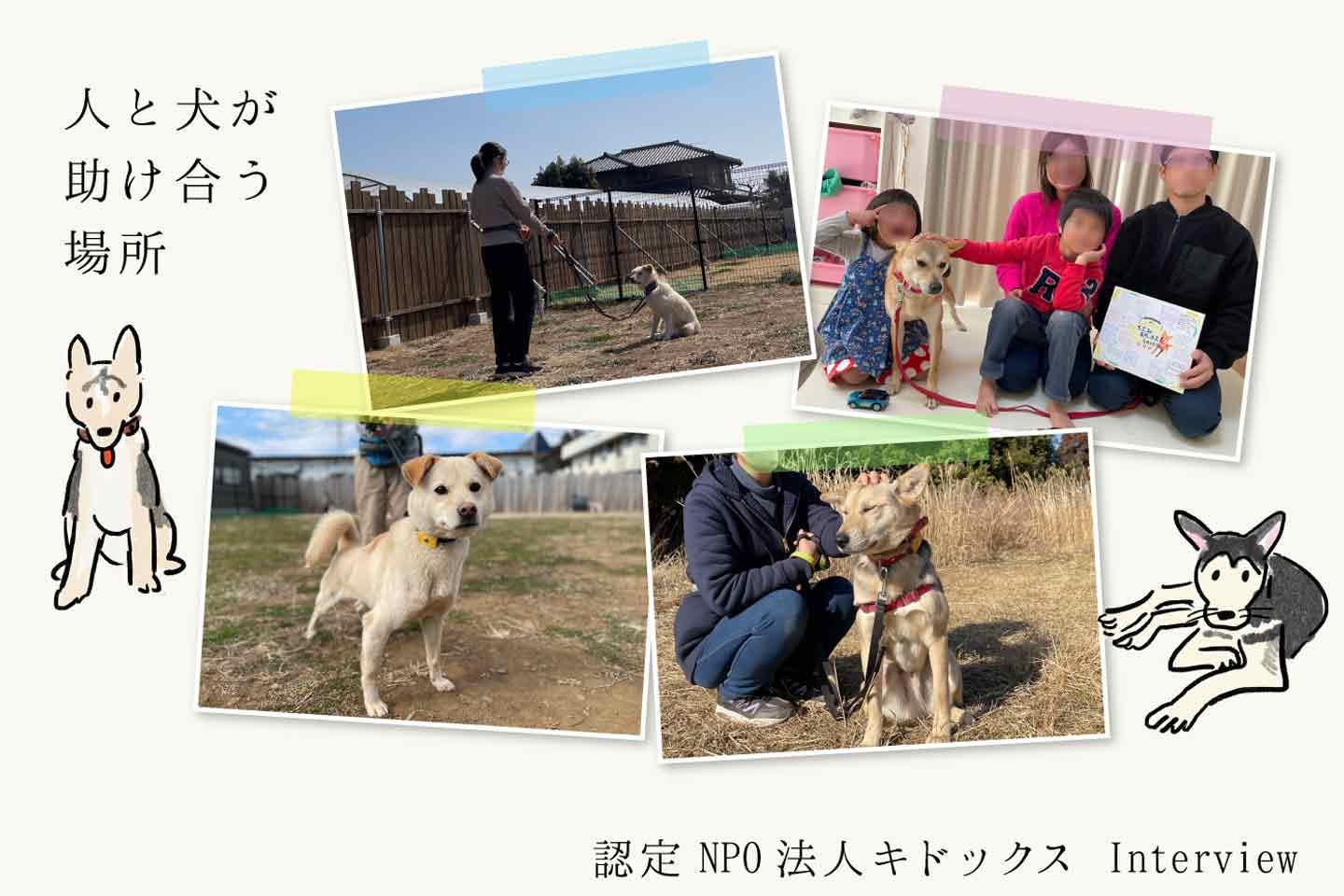 不登校の若者と捨てられた犬が助け合う。「認定NPO法人 キドックス」がつくる、言葉を発さない者たちの居場所