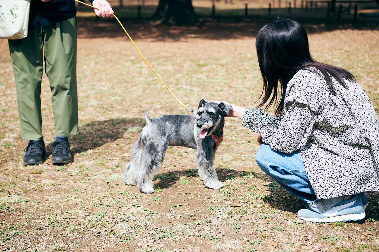 犬を飼っている人も、飼っていない人も。交流を通して相互理解を深めることが大切