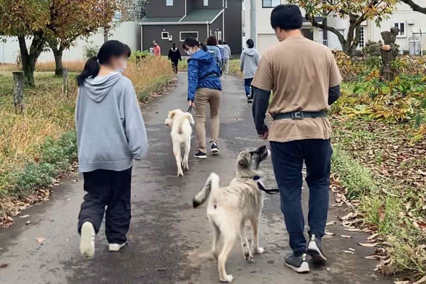 キドックスのドッグプログラムに参加する若者と保護犬 キドックスのドッグプログラムに参加する若者と保護犬