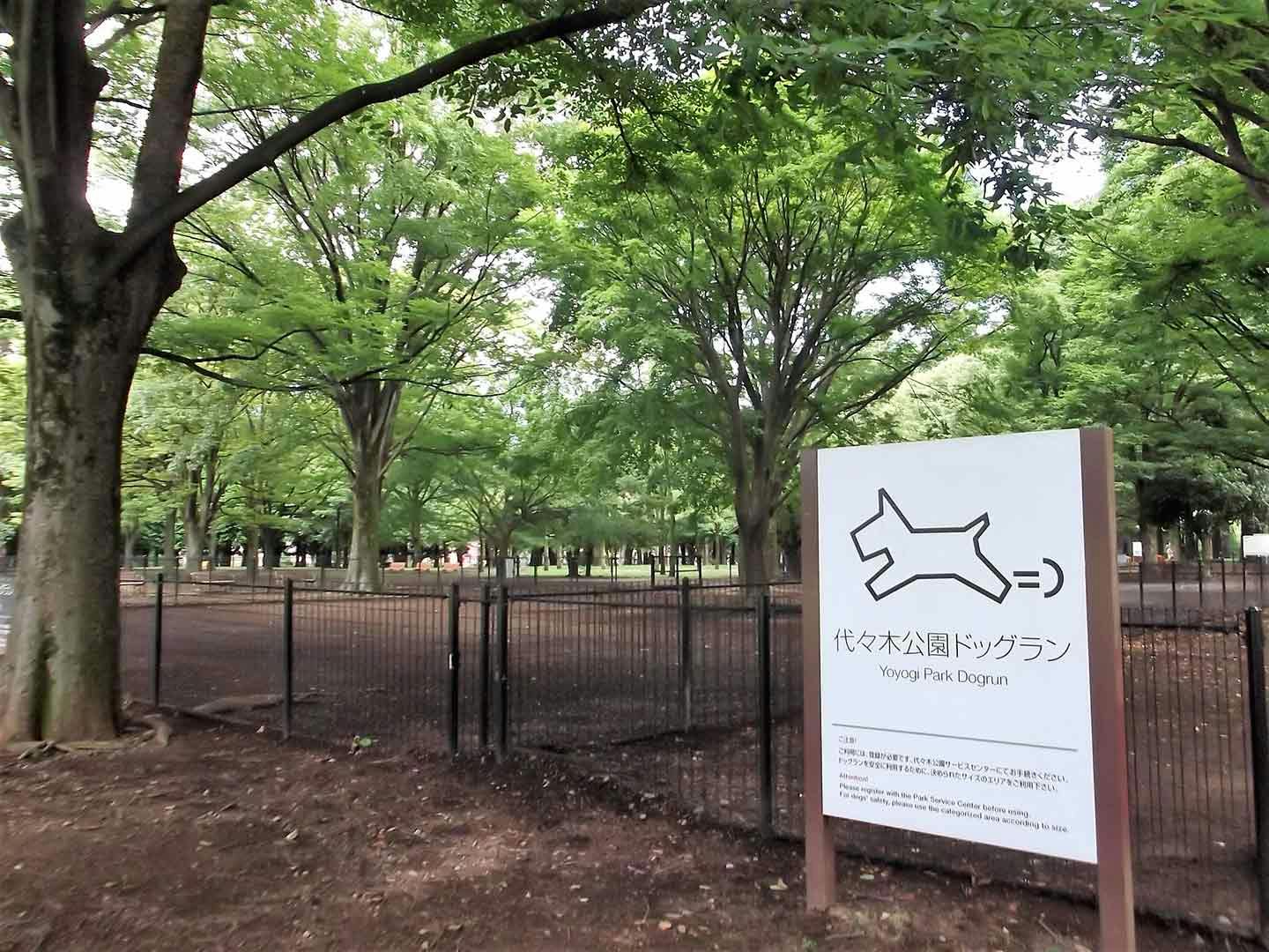 代々木公園ドッグラン