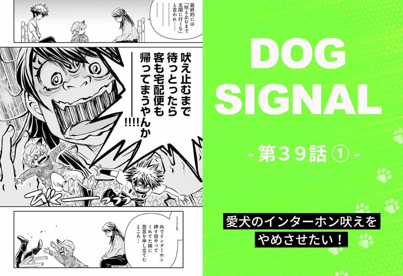 『DOG SIGNAL（ドッグシグナル）』39話目1/4　愛犬がインターホン音に吠えるのをやめさせたい！