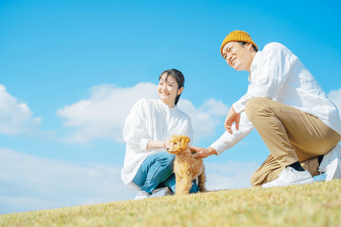 犬が「おいで」に応じない理由