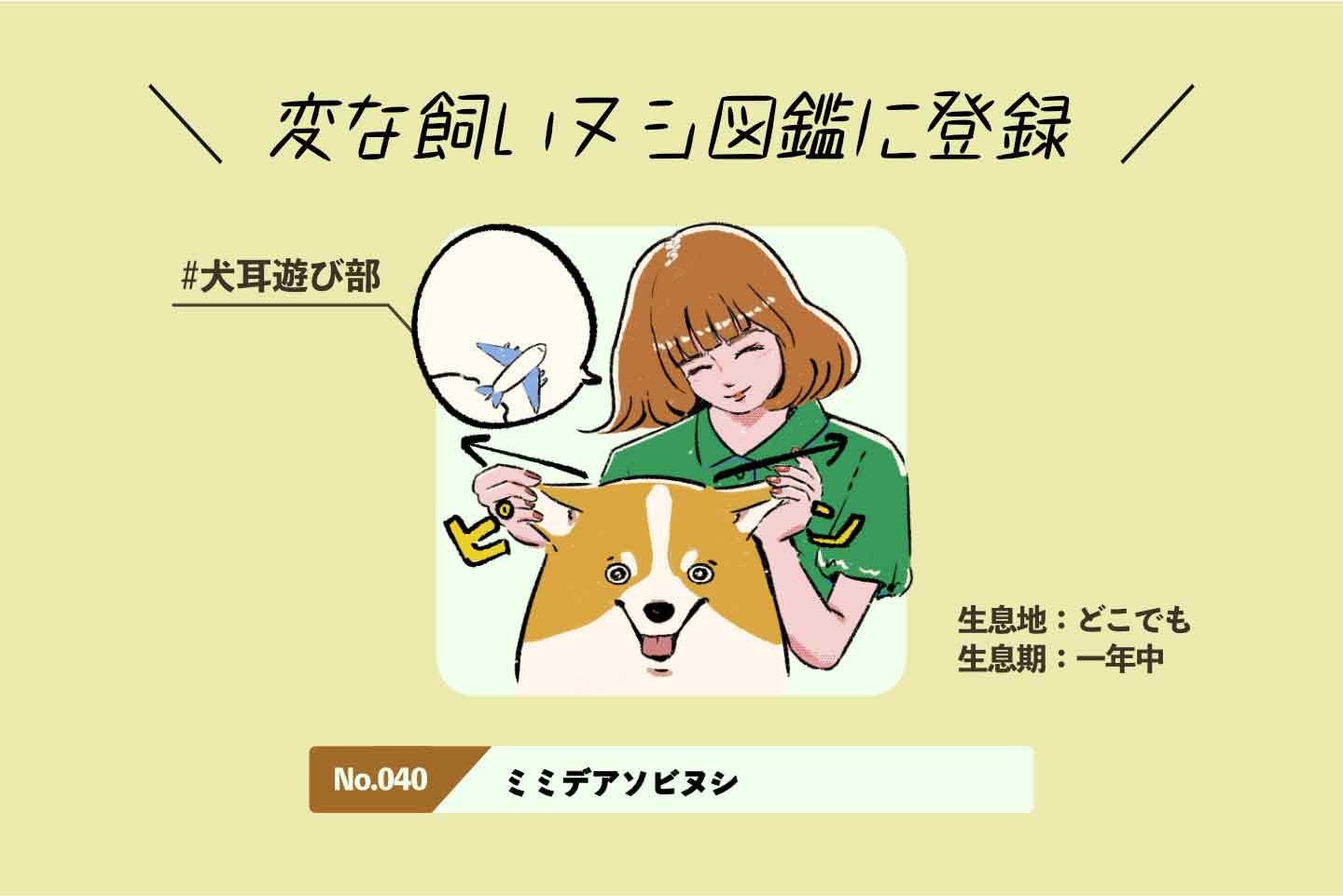 アジミシタイヌシの生態《変な飼いヌシ図鑑039》 ミミデアソビヌシの生態《変な飼いヌシ図鑑040》