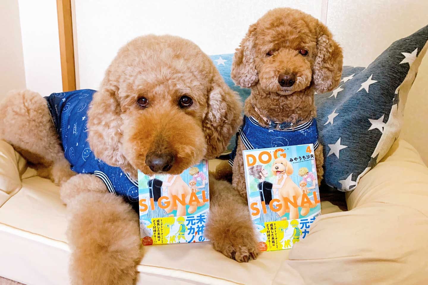 犬が人生を変えた」人気漫画『DOG SIGNAL（ドッグシグナル）』作者、みやうち沙矢さんの物語|ワンクォール