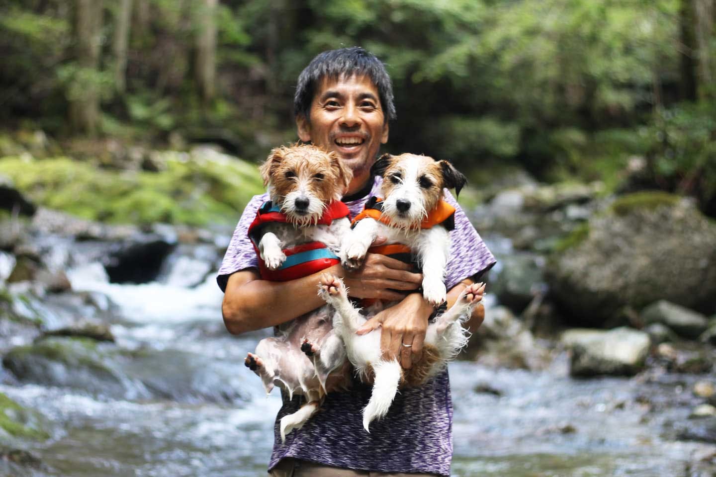 犬がノーリードで駆け回れる三重県大台町の『ワンコの森』で、広大な森林に新たな価値を