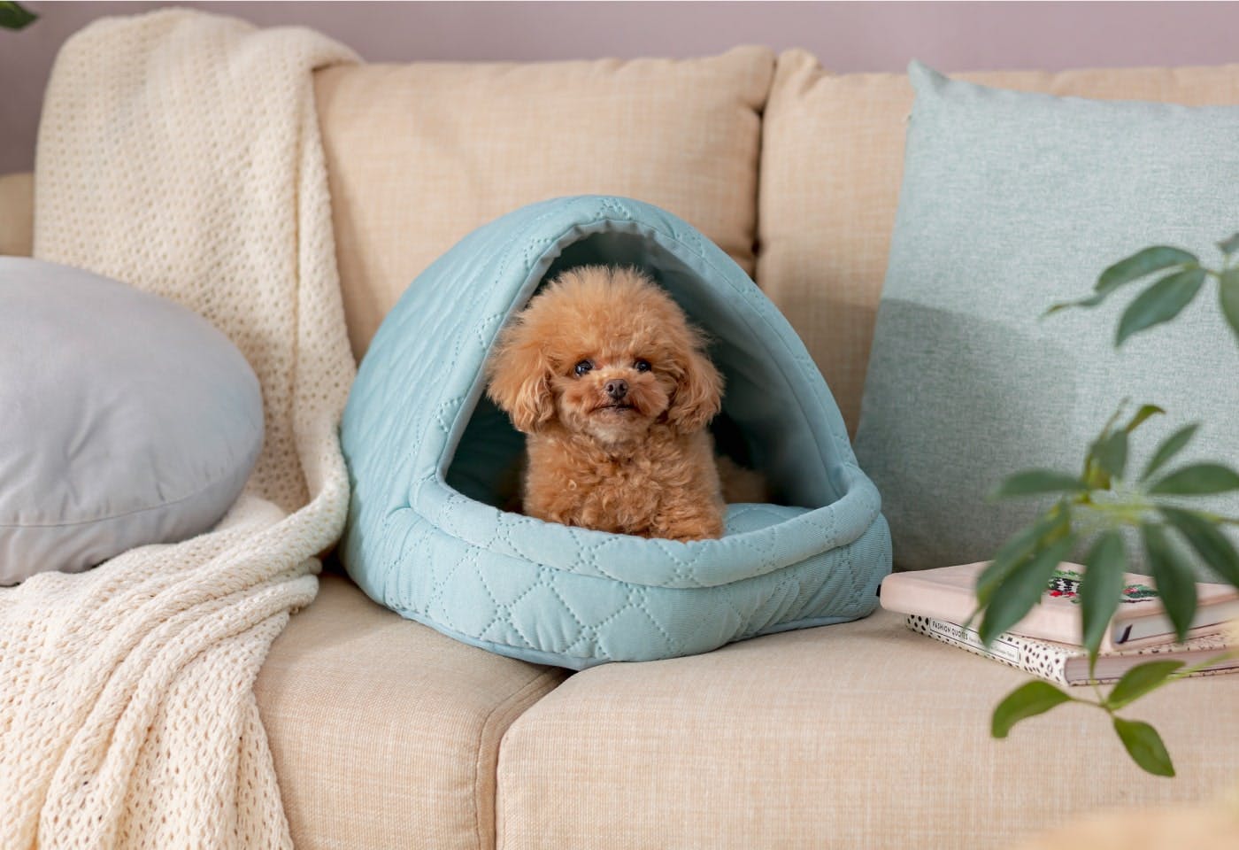 小型犬のサイズを考慮してリニューアルした「犬用ドームベッド」