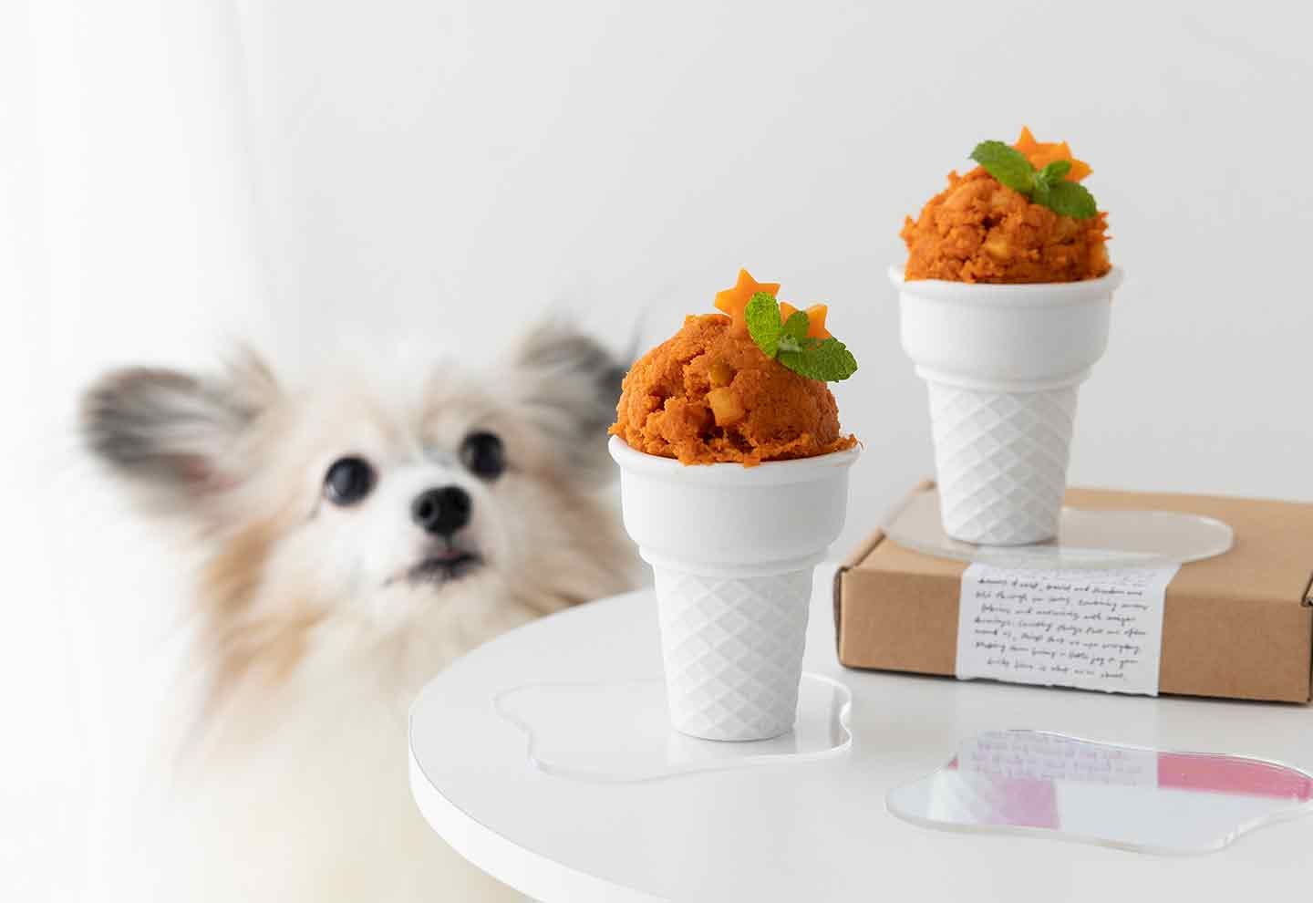 【愛犬用アイス】材料2つだけ。にんじんシャーベットのレシピ