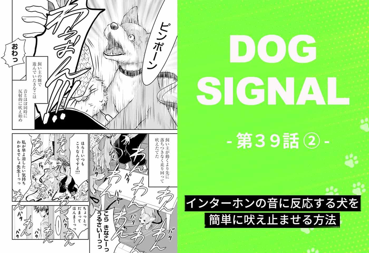 DOG SIGNAL（ドッグシグナル）』39話目2/4 簡単に愛犬のインターホン 