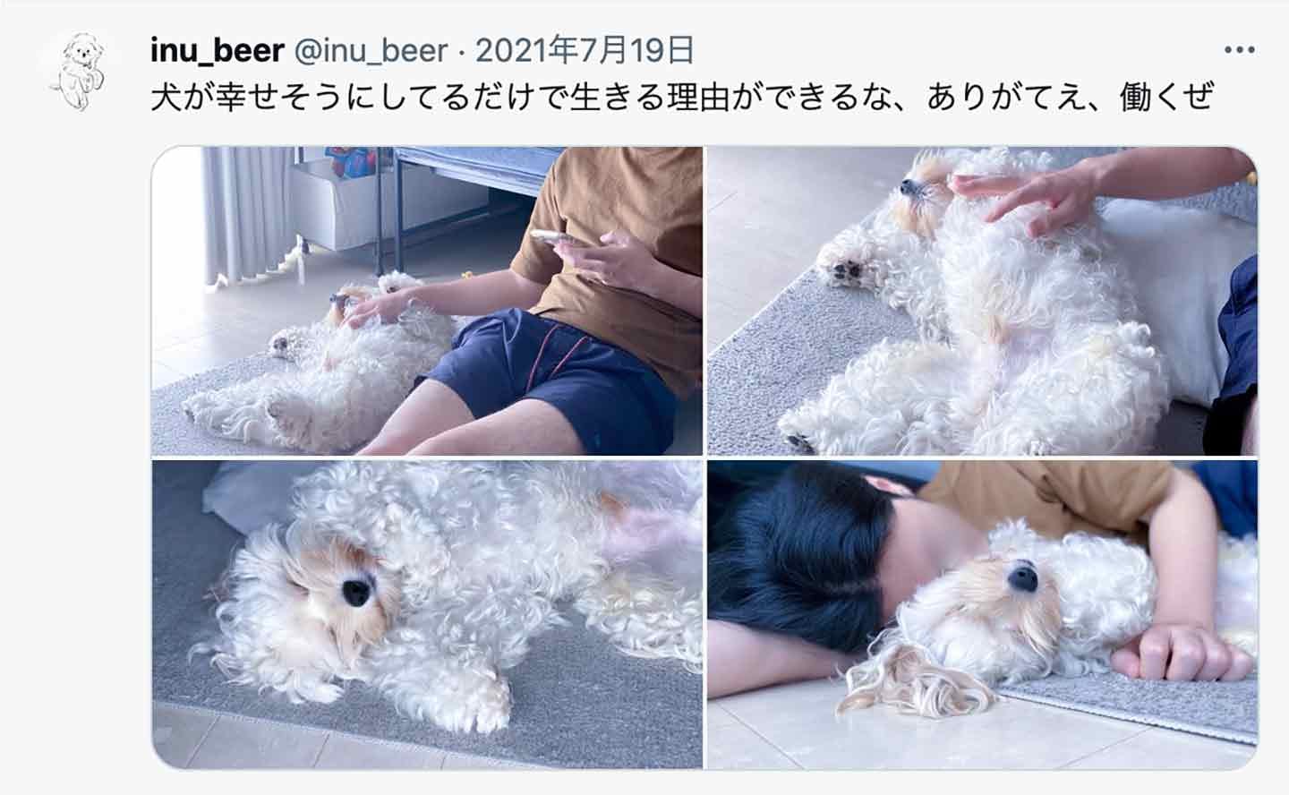 「自分がこの子を幸せにする！」愛犬の存在が生きる糧に