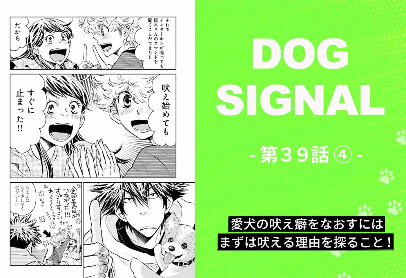 『DOG SIGNAL（ドッグシグナル）』39話目4/4　犬の吠えを止めるトレーニングとは