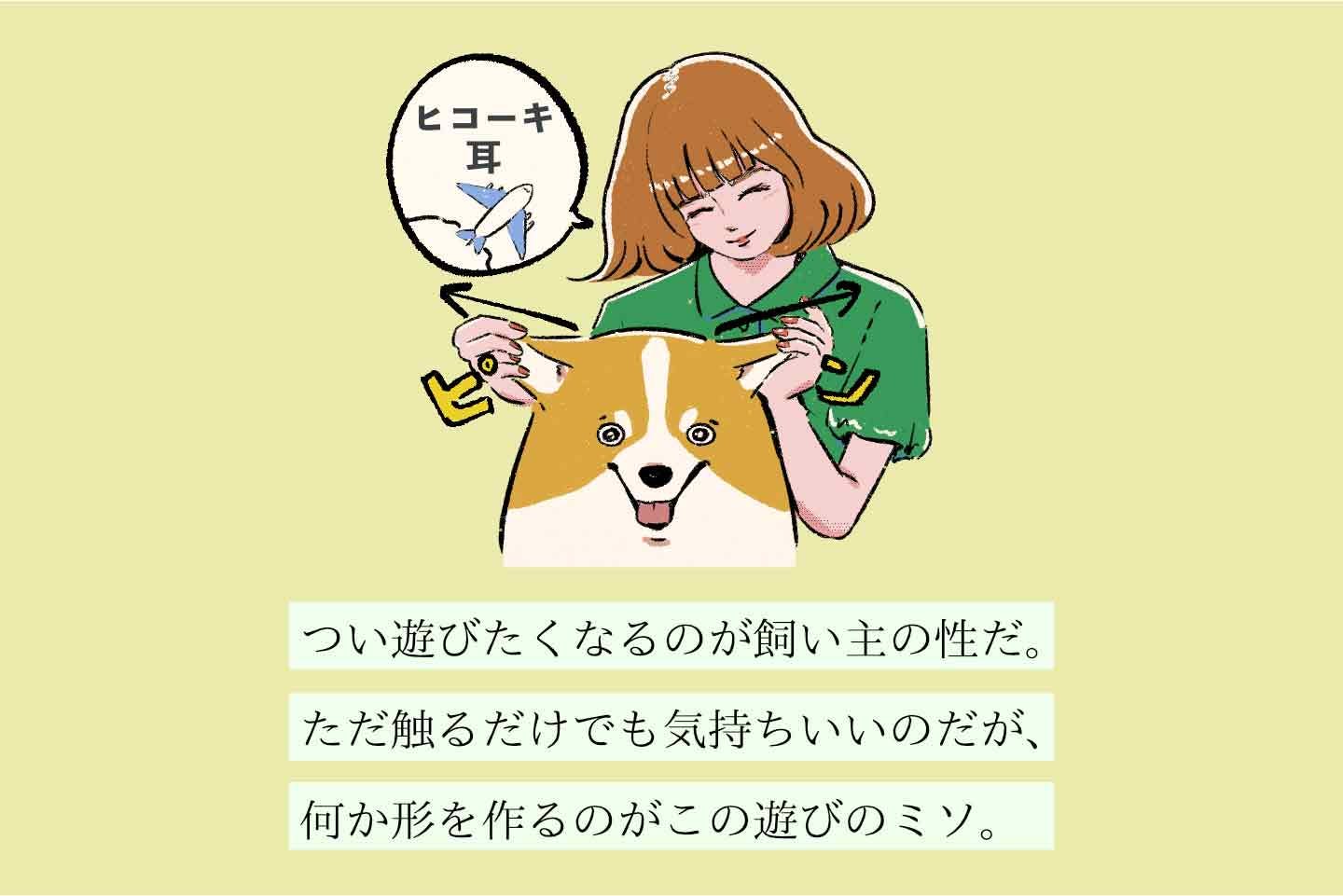 アジミシタイヌシの生態《変な飼いヌシ図鑑039》 ミミデアソビヌシの生態《変な飼いヌシ図鑑040》