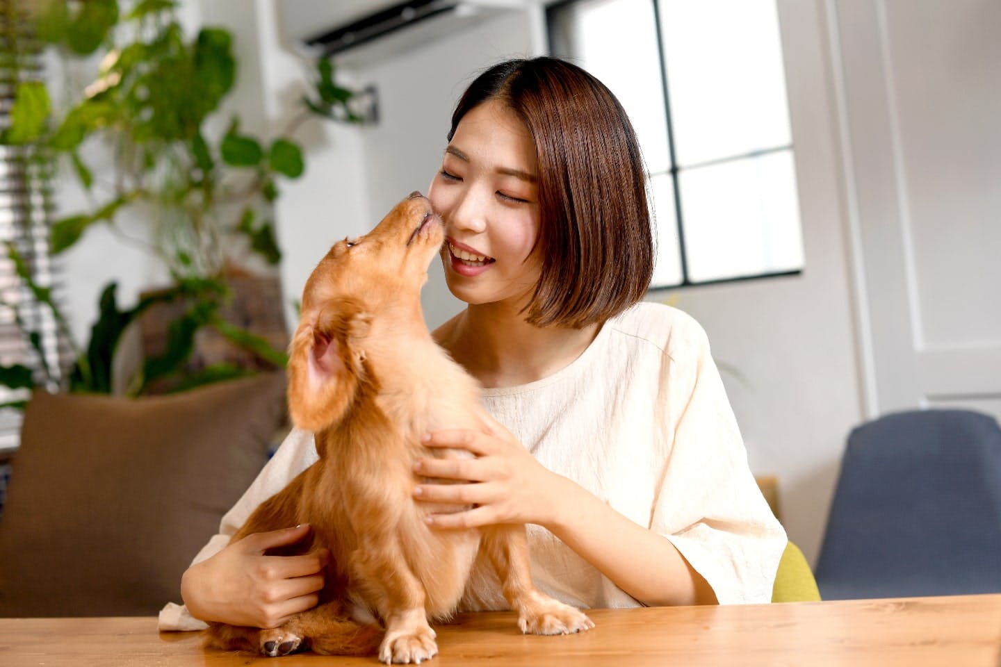 一人暮らし ペット 仕事中 安い