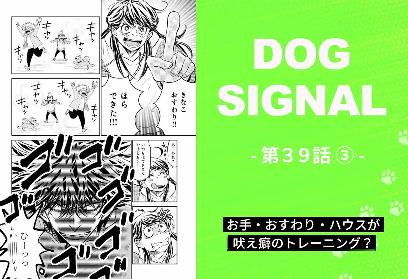 『DOG SIGNAL（ドッグシグナル）』39話目3/4　愛犬への吠え対策にコマンドの練習？