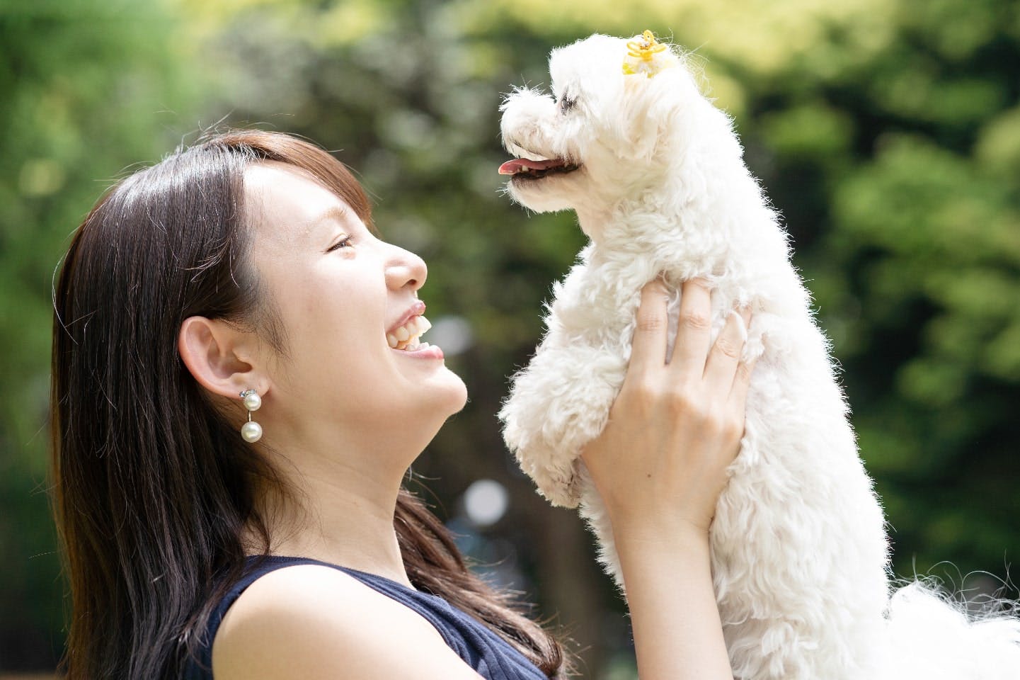 1 人 オファー 暮らし ペット 犬