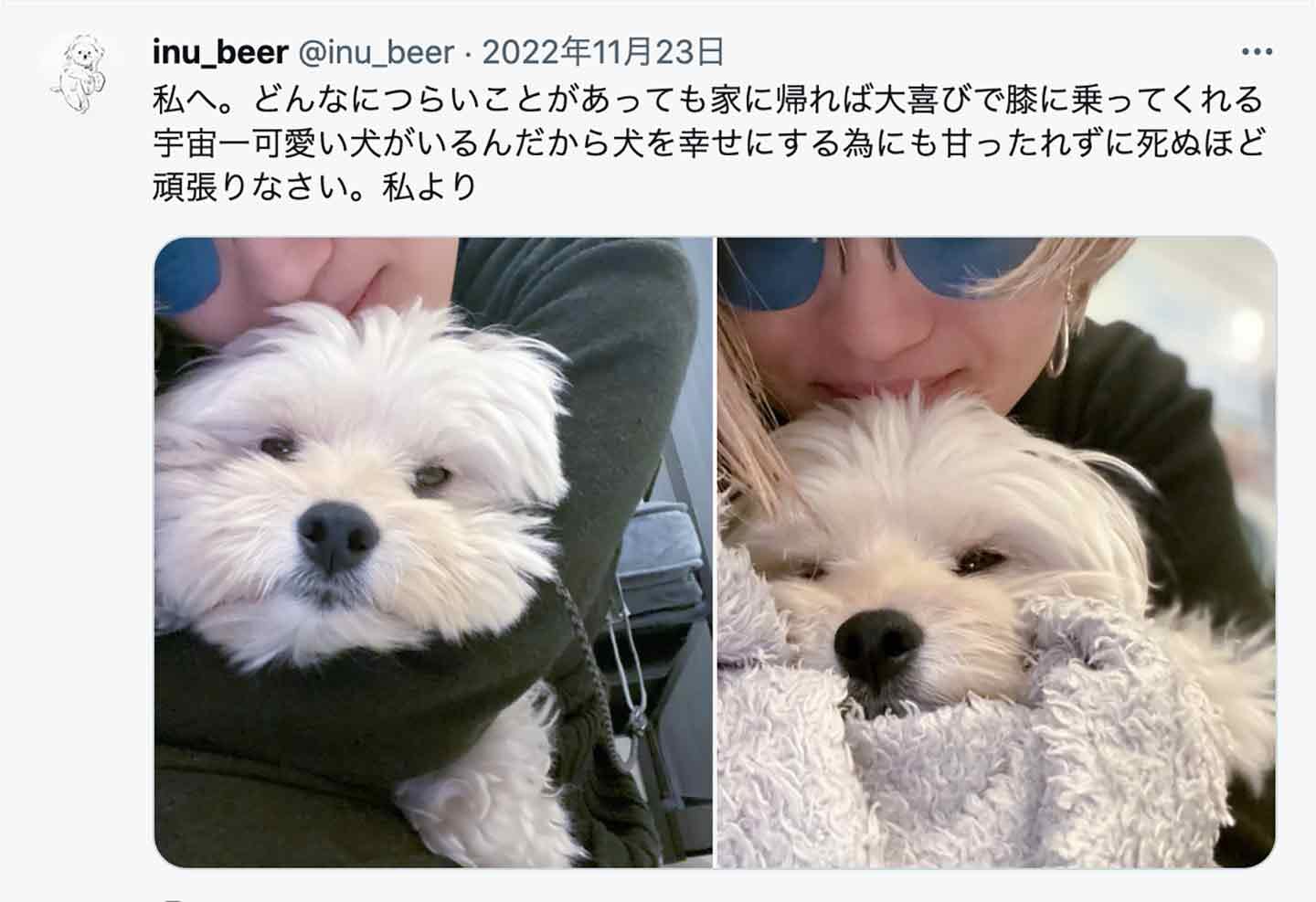 愛犬がハッピーでいられるように、最後まで責任を持ちたい