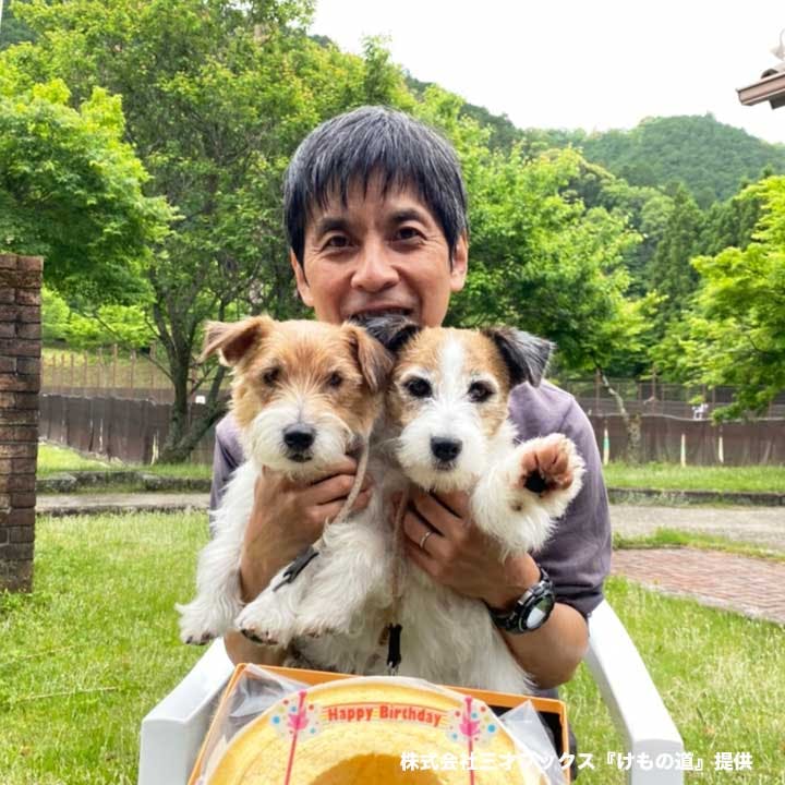 犬がノーリードで駆け回れる三重県大台町の『ワンコの森』で、Wans