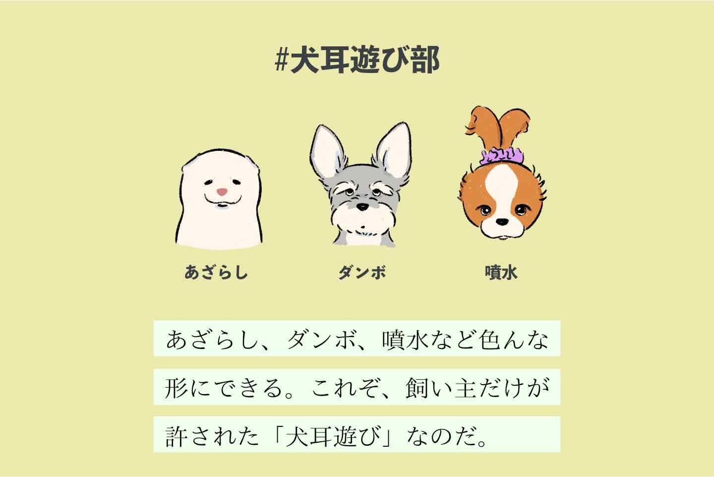 アジミシタイヌシの生態《変な飼いヌシ図鑑039》 ミミデアソビヌシの生態《変な飼いヌシ図鑑040》