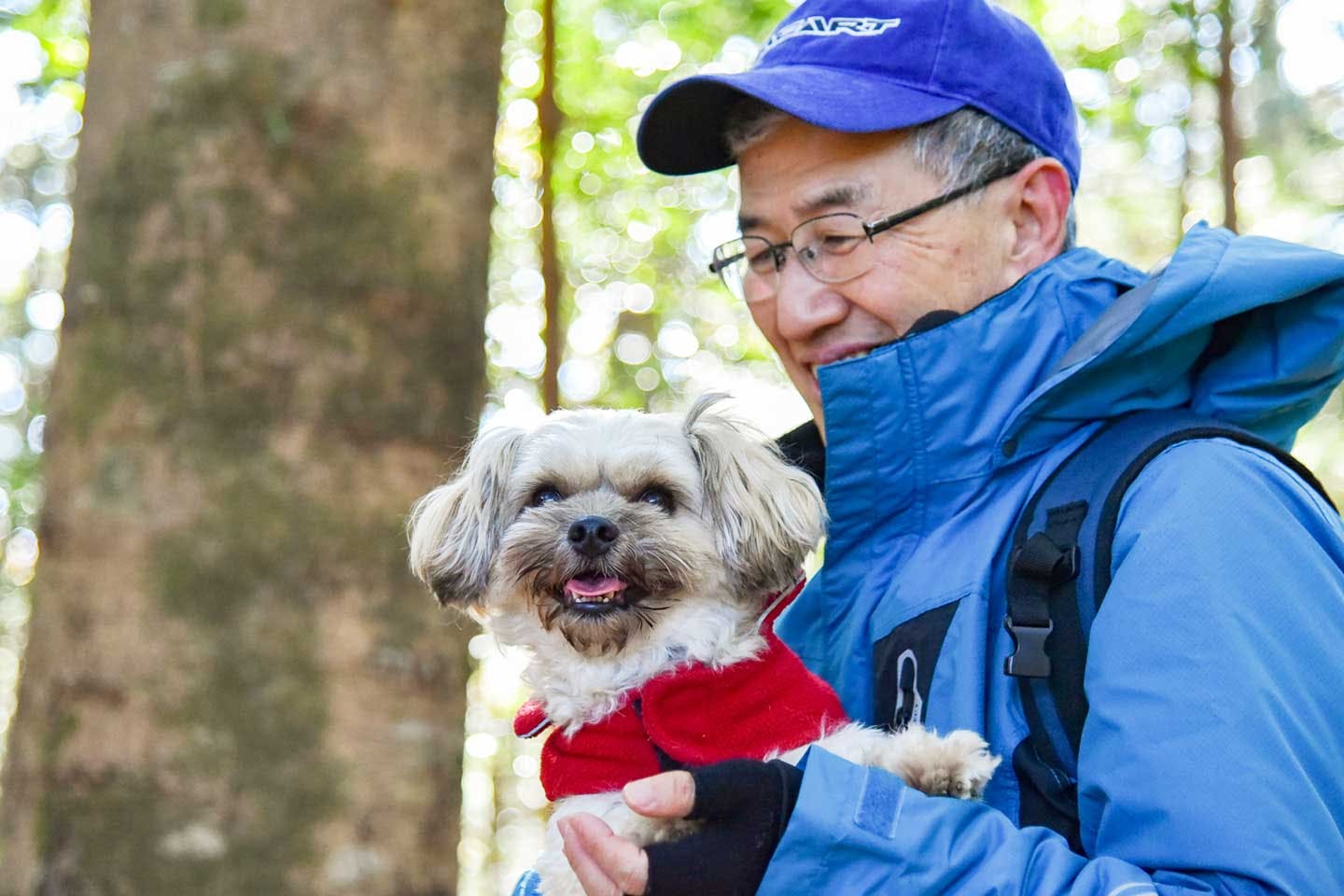 『ワンコの森』で愛犬のシーズーと楽しむ様子