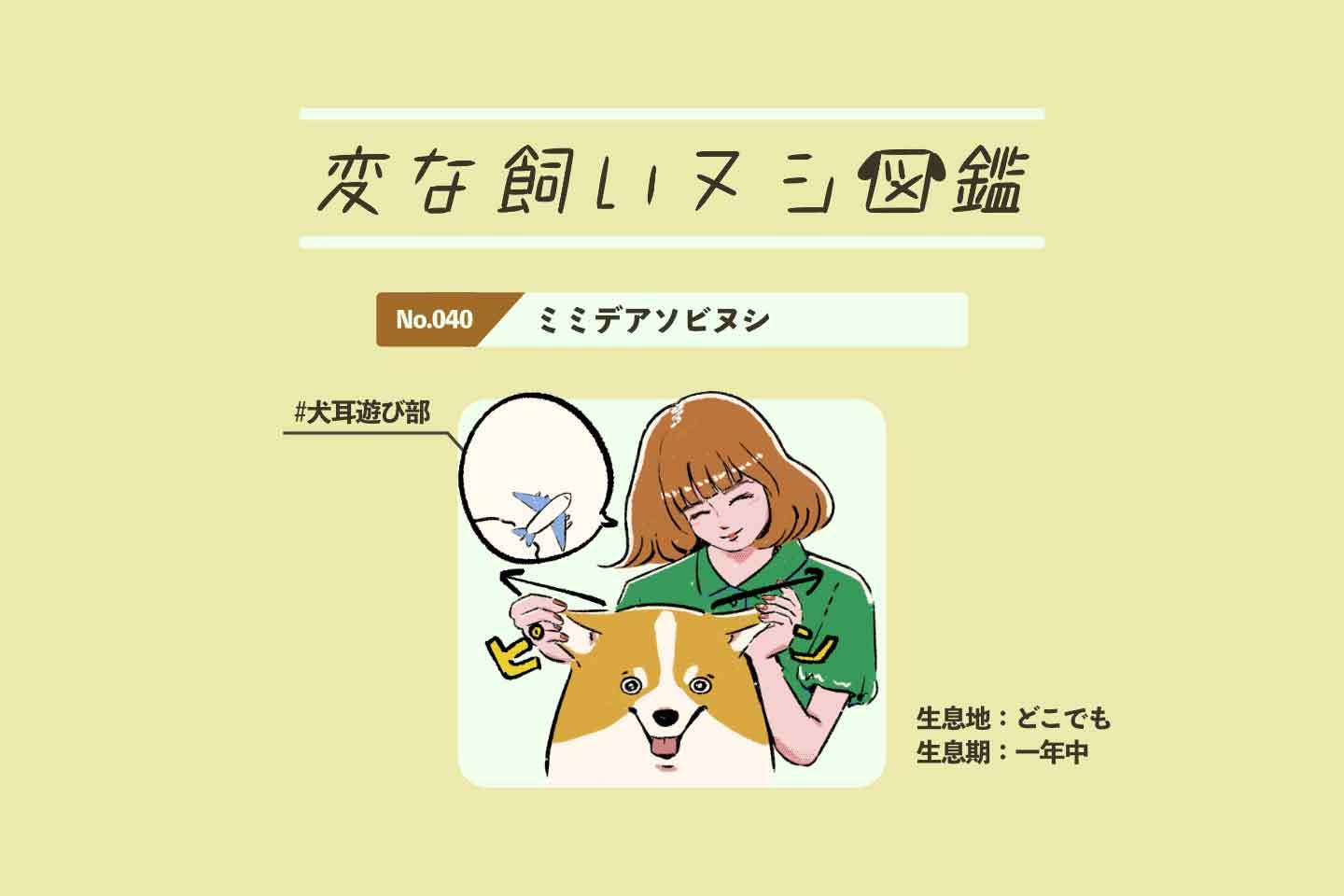 【変な飼いヌシ図鑑No.040】 愛犬の耳がたまらなく大好きな飼い主『ミミデアソビヌシ』