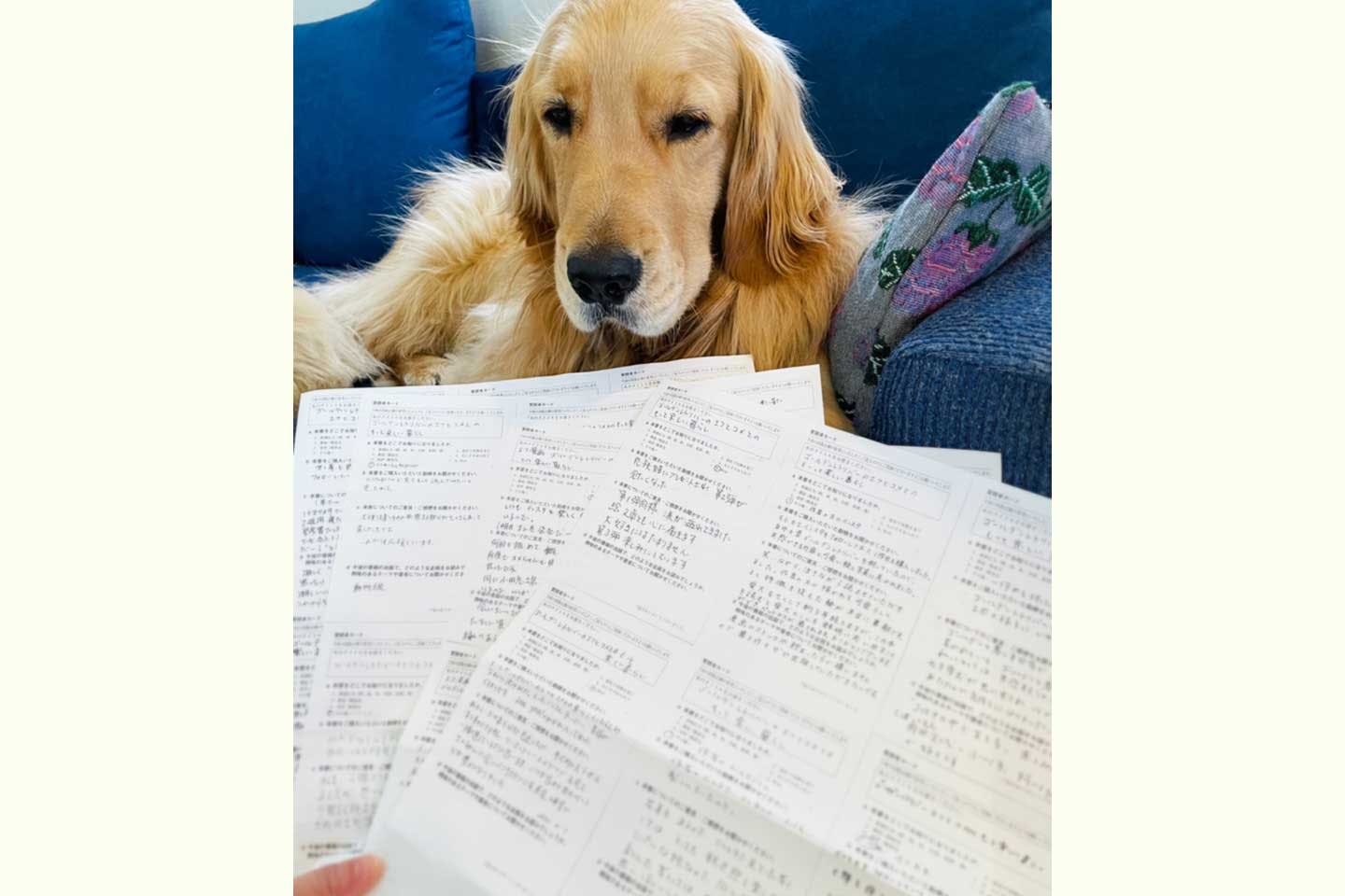 読者の方から頂いたメッセージを愛犬・コメちゃんにも読み聞かせる 読者の方から頂いたメッセージを愛犬・コメちゃんにも読み聞かせる