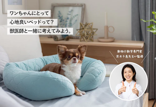 犬ベッド 布団 犬 犬が落ち着く寝床とは 獣医動物行動学の専門家とカインズが共同開発した ペットベッド ワンクォール